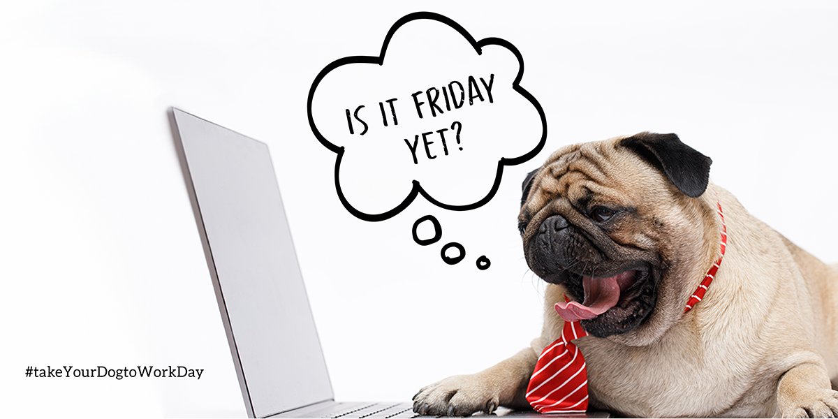 🐶  It’s going to be a paw-fect day! 

Happy #BringYourDogToWorkDay! Have a woof'n great day!

#BringYourDogToWorkDay #OfficeDog #DogsAtWork #Dogs