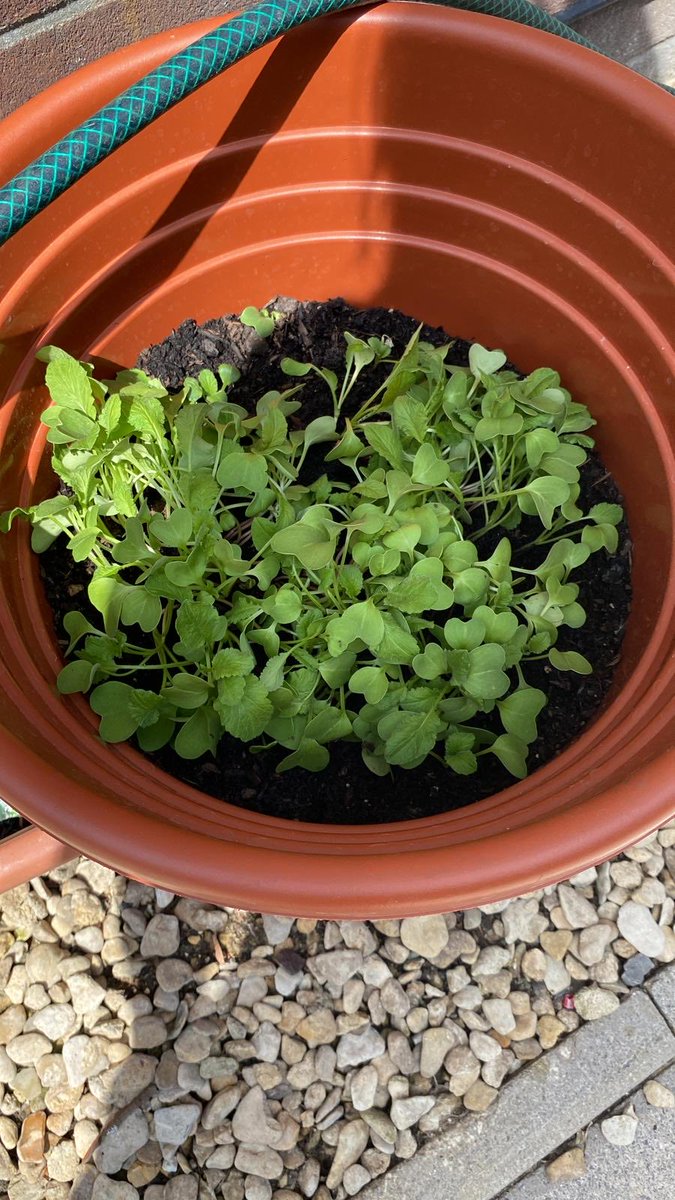 Landguard Road Approved Premises tweet media