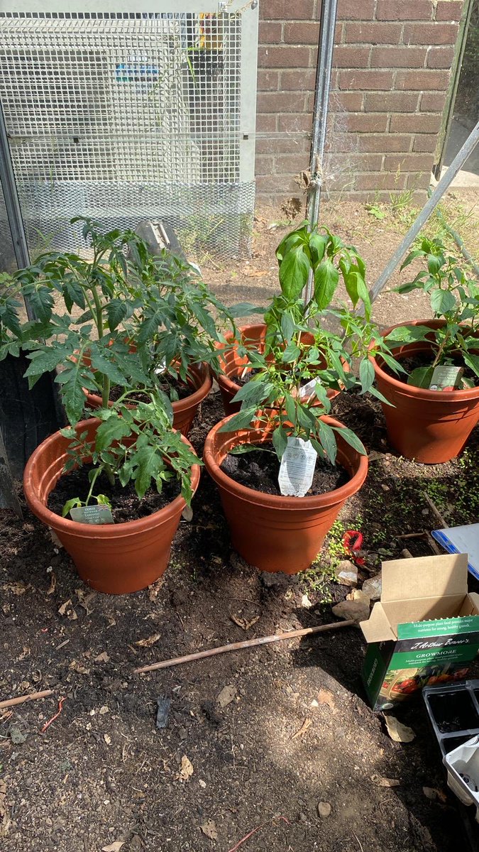 Landguard Road Approved Premises tweet media