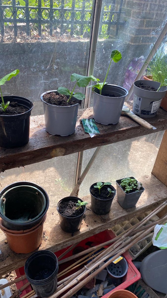 Landguard Road Approved Premises tweet media