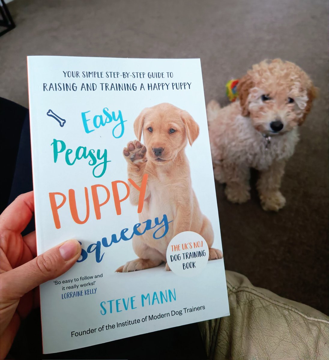 My new bedtime read. Well, a book to read when Bruno is in bed - otherwise he's trying to chew it 😂🐕 Fab book by <a href="/SteveMannDog/">Steve Mann</a>. Thanks for the recommendation <a href="/SamanthaBetts1/">SammyB</a> 👍