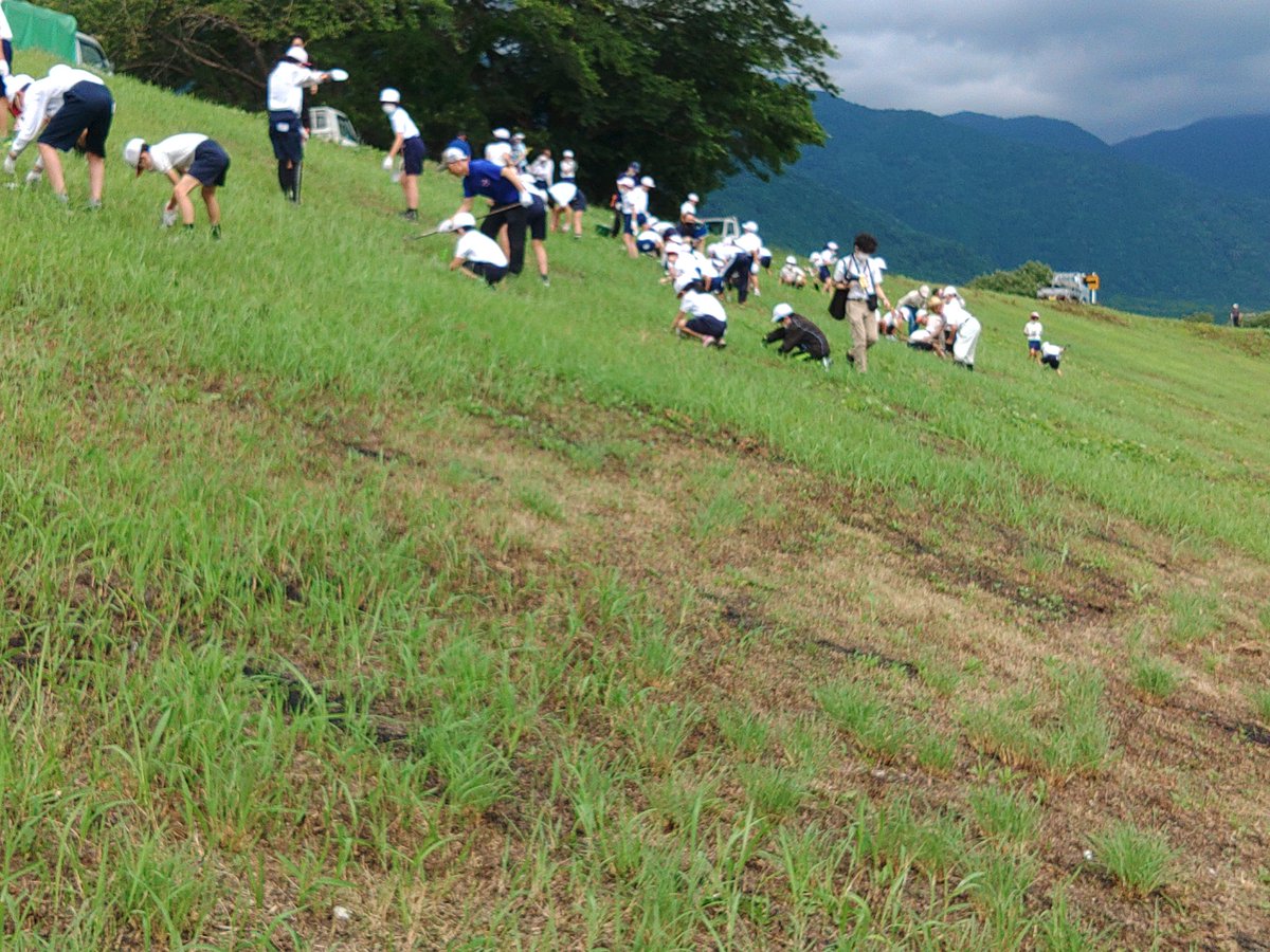 #津屋川彼岸花
#津屋川ひがんばな祭り実行委員会

今年も小学生と一緒に2000球植えました。