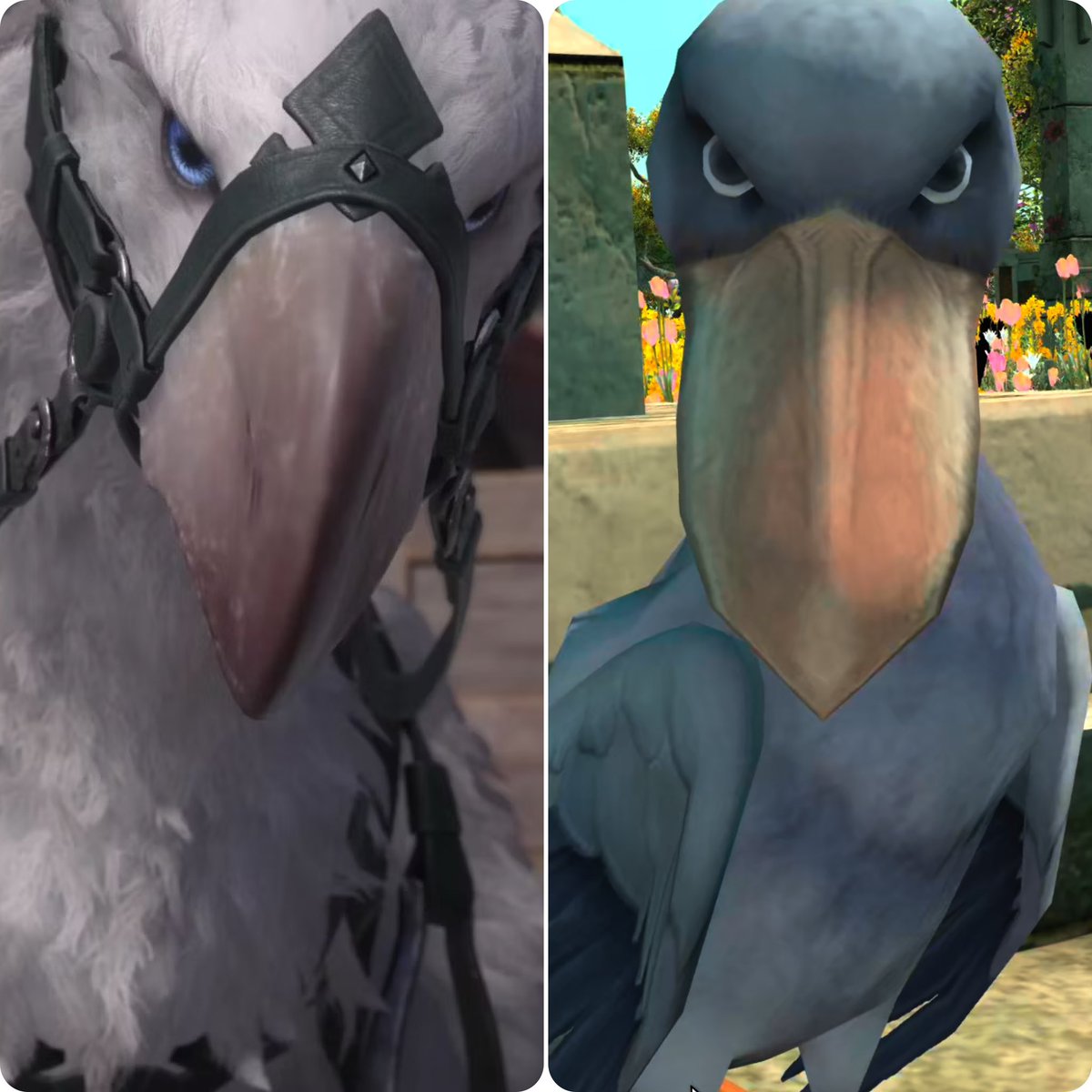 SavageHyuRa's tweet image. They related

#ffxiv #ffxvi