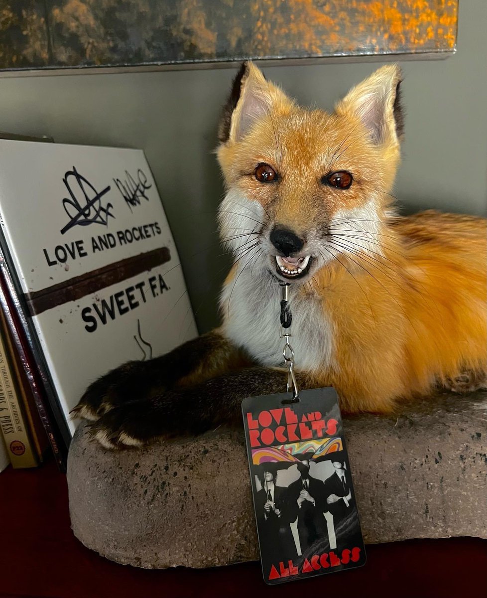 When you’re this foxy you can get in anywhere! Thanks to everyone who came out to see us on this incredible tour & also to our wonderful crew. There was so much good will & camaraderie abroad! We’ll be feeling the glow for a long time to come. ❤️🚀🚀🚀🔥💫🙏🏻 #LoveandRockets