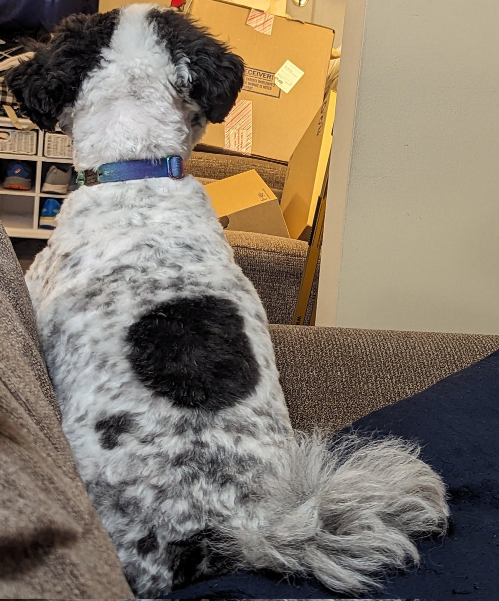 I must sit here and stare at the door for an hour before my dad gets home and sometimes I whine because he takes too long.