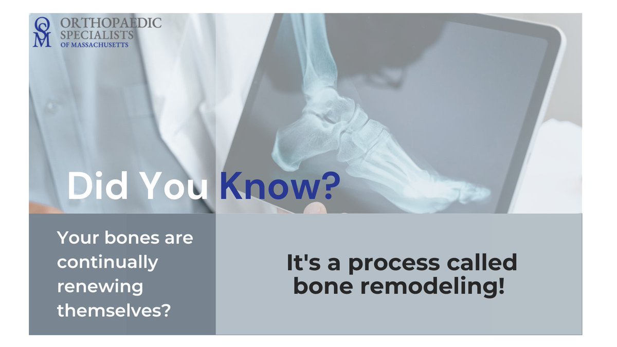 Bone remodeling is crucial for maintaining the strength of our skeletons and it's also the process that facilitates the healing of fractures. It's a remarkable testament to the body's ability to heal and renew itself.

#OrthoMass #orthopaedicsurgeon #orthopaedicspecialist
