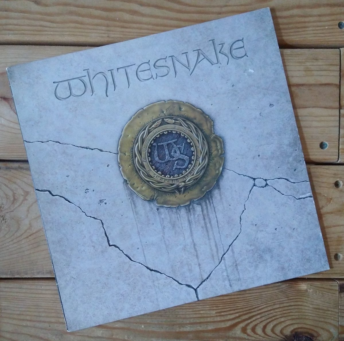 Spinning-#Whitesnake #vinyl #vinylcommunity #vinylcollector #vinylcollection #vinylrecords
