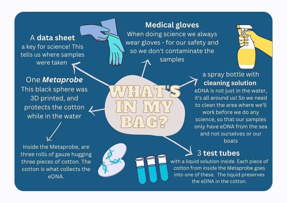 marinemollyk's tweet photo. Have you ever wondered what’s in a marine ecologists sampling bag? Here’s what’s in mine when we sample for eDNA in seawater with a #Metaprobe. 
@exetermarine @uniexecornwall @uniexecec @uniofexeter 1/2 https://t.co/sgMdosQ9Fs
