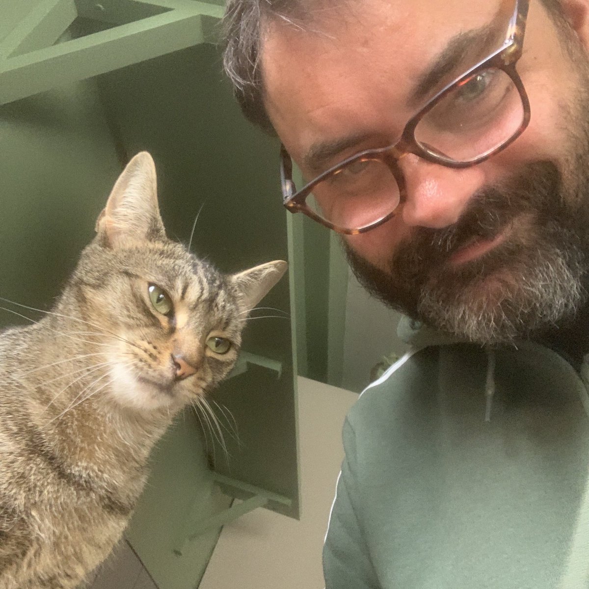 e17catsitter's tweet photo. Looking for a catsitter over the summer? I am available. I can send you up to sixty pictures a day so you will never miss your cat… https://t.co/ryYhCMyg5T