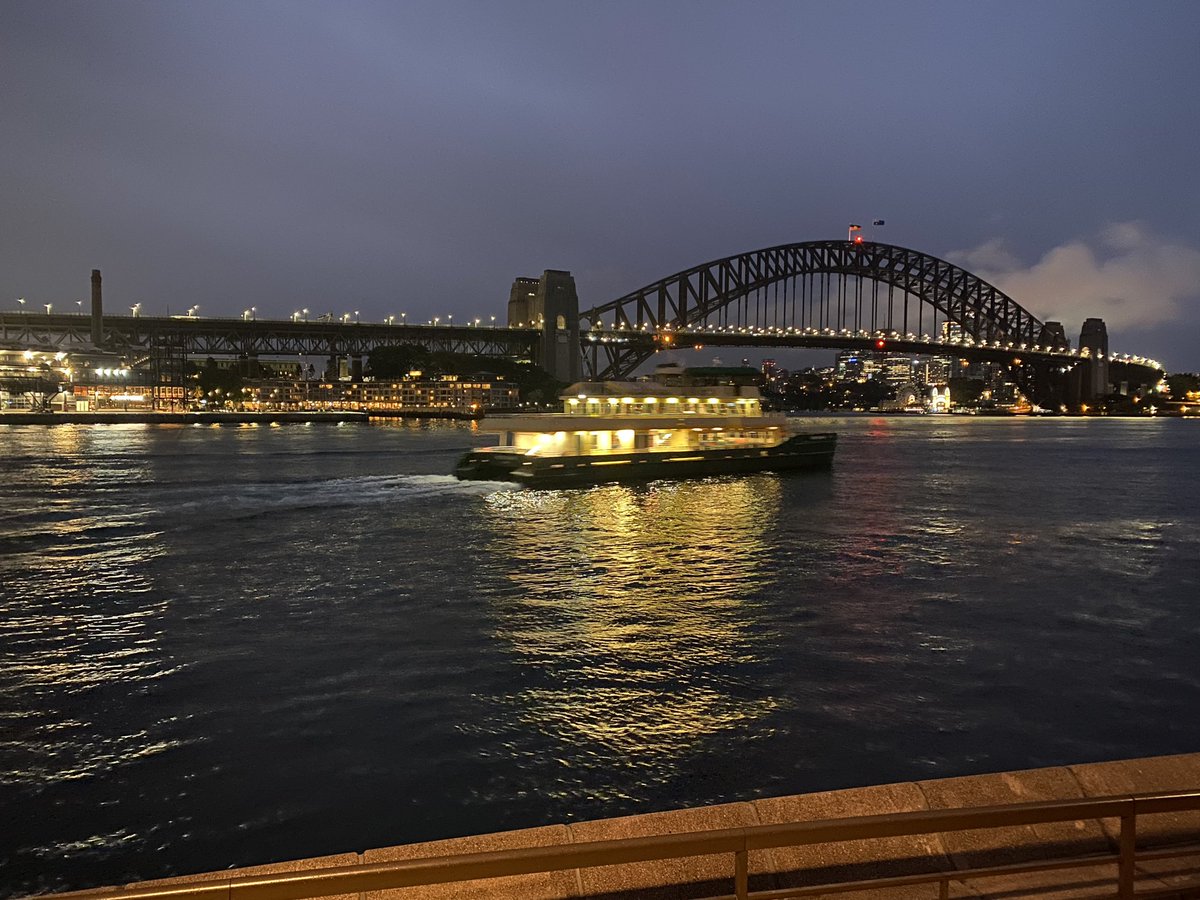 JulieTorney's tweet image. Looking after my well-being - wonderful opportunity to celebrate the achievements of my incredible middle leaders; early morning walk to see Sydney wake up. Looking forward to Day 2 #mldp @NSWSLI @Jess_Harris2