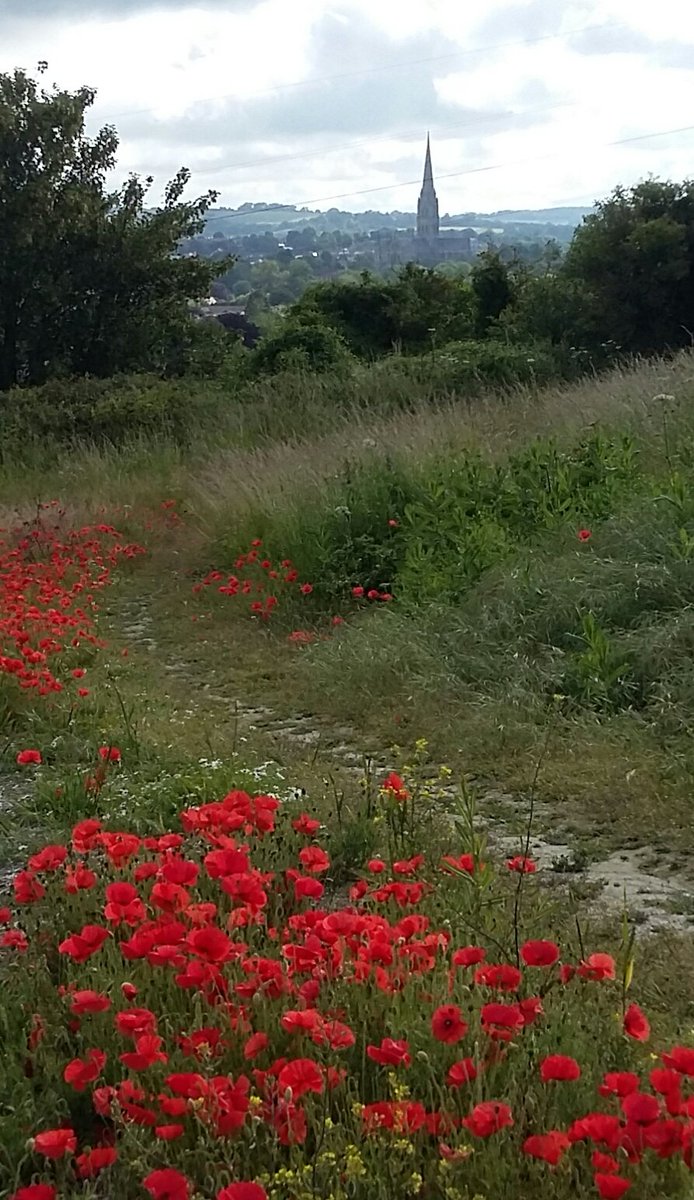 reverendbecky's tweet photo. A beautiful day today even though the nights are drawing in!!!! https://t.co/odlNr6kqL6
