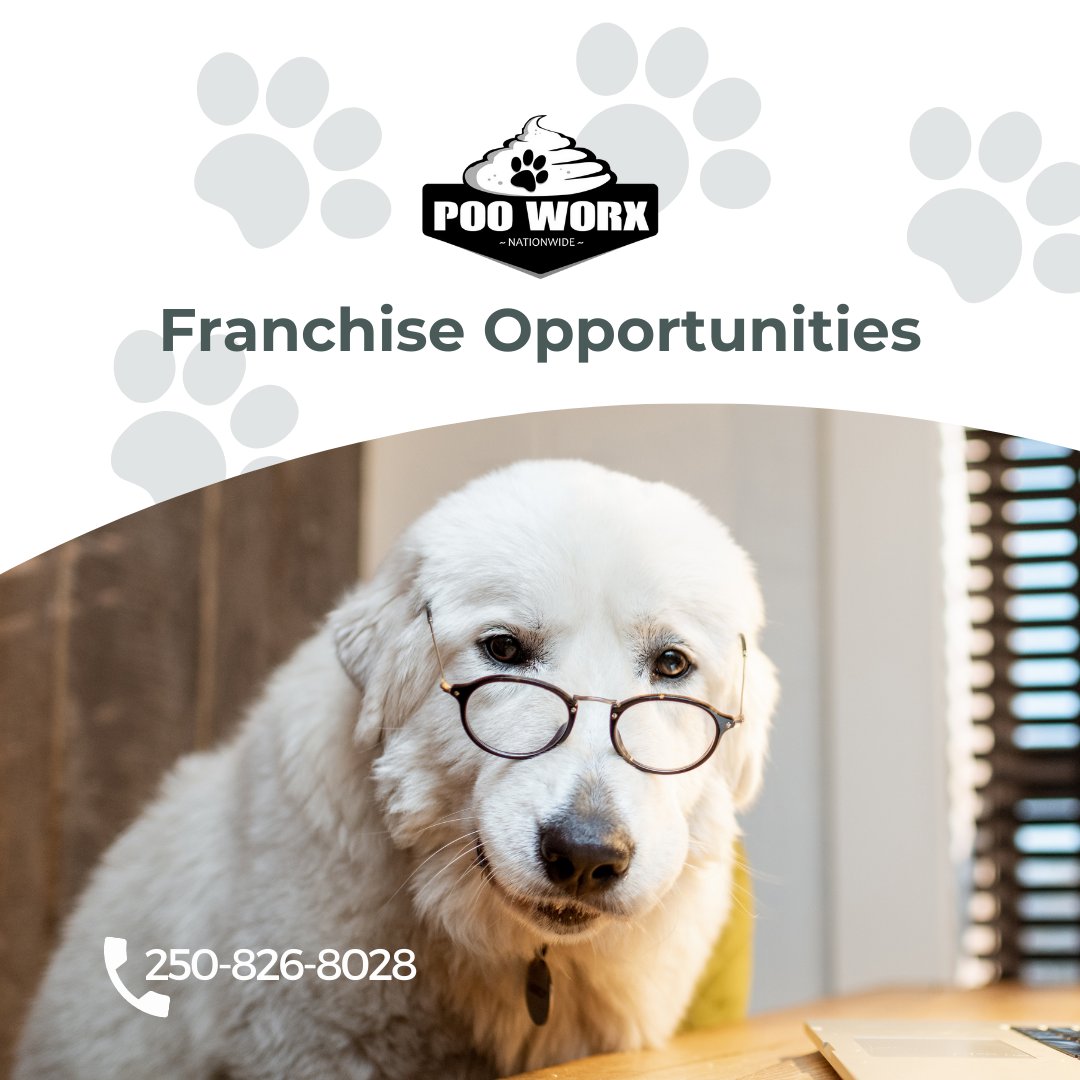 Become an entrepreneur who provides the service every dog owner needs. With Pooworx, you can make money while enjoying the great outdoors!  🐶 call/text 250-826-8028 for more info.

#puppylove #poop #scoopthatpoop #entrepreneur #businessowner #startyourownbusiness #pooworx