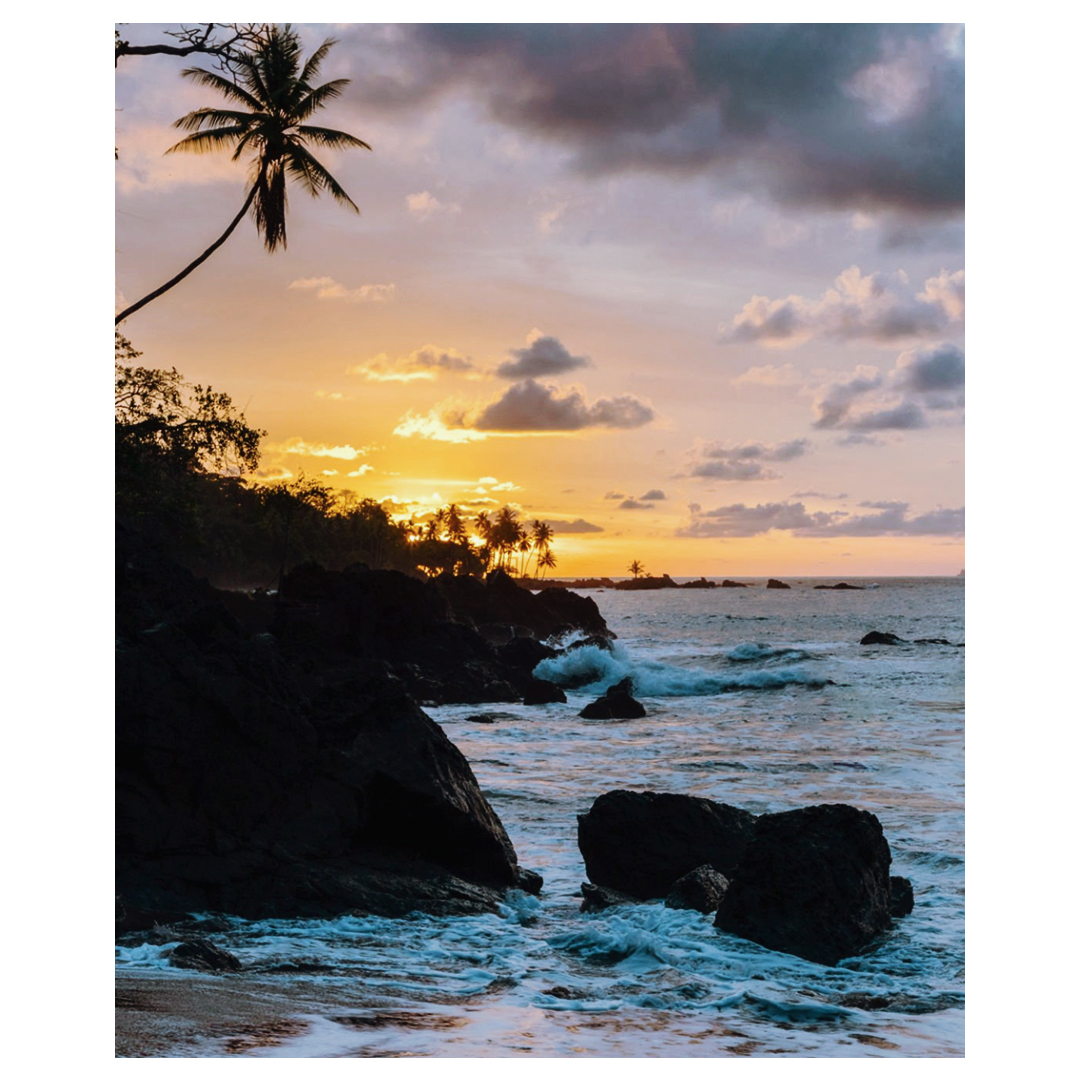 kontikiX's tweet photo. Costa Rica’s Pacific coast boasts with wildlife, featuring lush tropical forests bounded by the sea, intense concentration of biodiversity, and adventure-filled excursions. #AboveSeaLevel #SLH #PuraVida https://t.co/5ZaL6FyZ8W