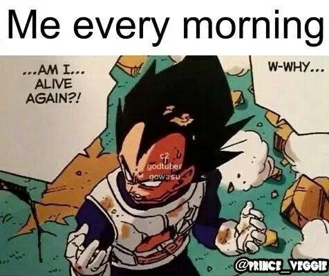 fatchi (@fatchi_pog) on Twitter photo 