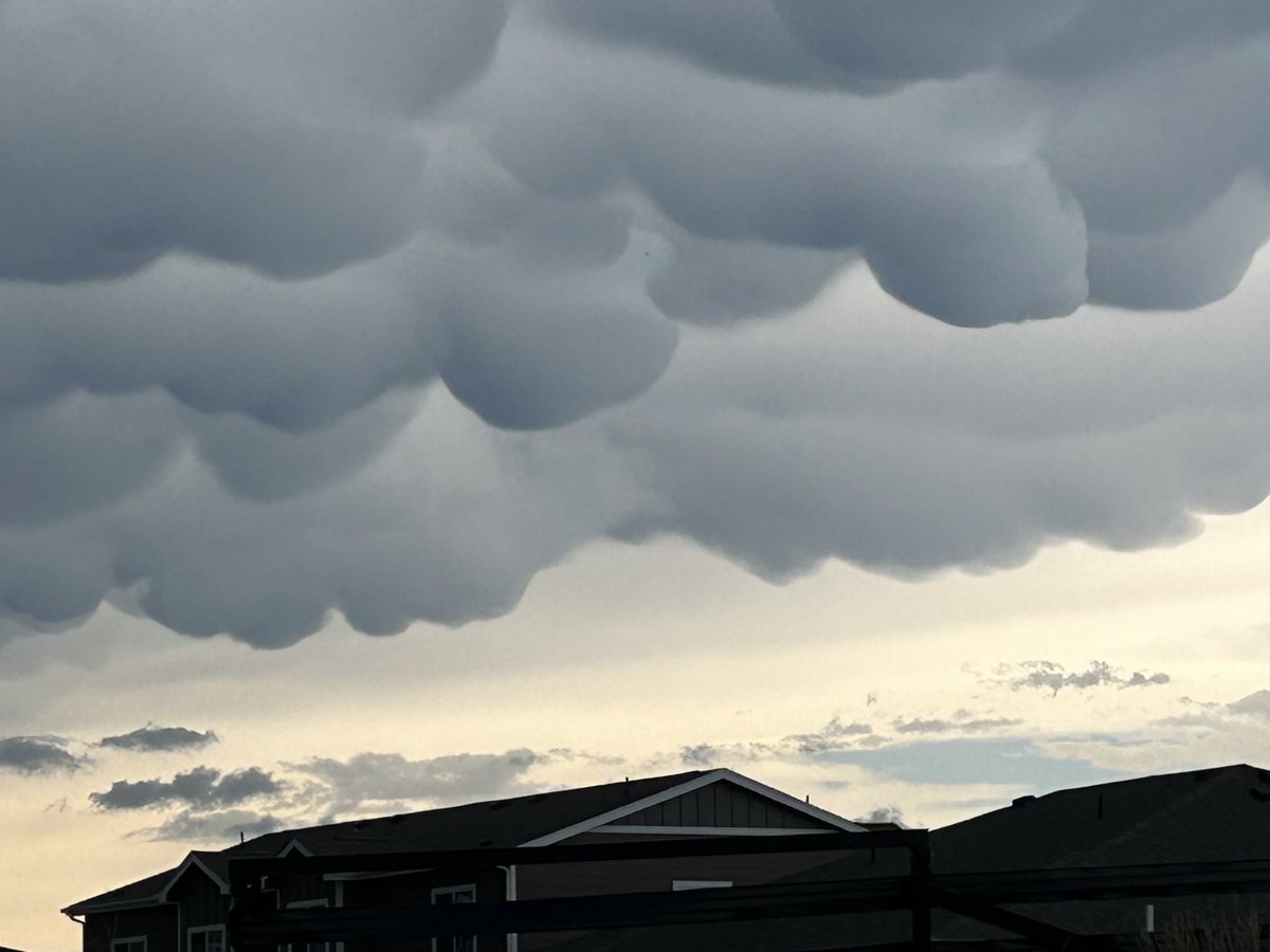 RobertMeister20's tweet image. Impressive mammatus clouds near Denver, CO courtesy of today’s supercell that produced a tornado in Highlands Ranch. @stormhour @spann ⁦@JimCantore⁩ ⁦@WxReppert⁩ #cowx ⁦@kbente242⁩ ⁦@JamesVanFleet⁩ ⁦@ICWR⁩ a