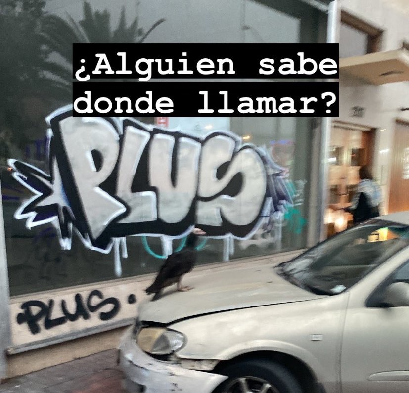 Hay un jote (herido) en Avenida Argentina, entre 14 de febrero y Bolivar #antofagasta #chile <a href="/sagchile/">SAG</a> <a href="/udeantofagasta/">Universidad de Antofagasta</a>