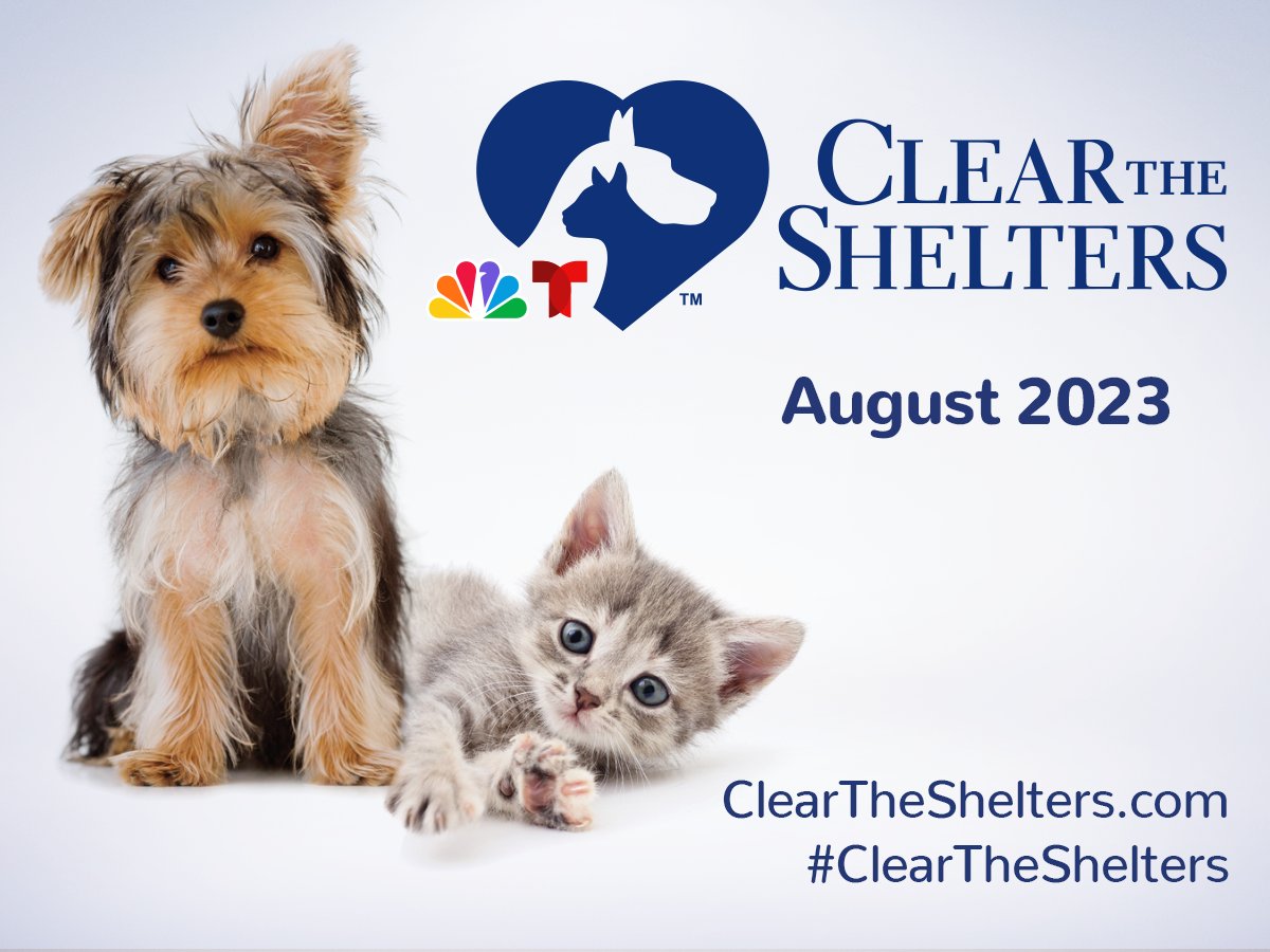 Mark your calendars, #ClearTheShelters is back! 📅 😻 NBC and Telemundo stations are partnering with local animal shelters and rescues to promote pet adoption and raise funds for animal welfare. 🐶🐱

Click here to learn more: on.nbc10.com/U5i1PZK