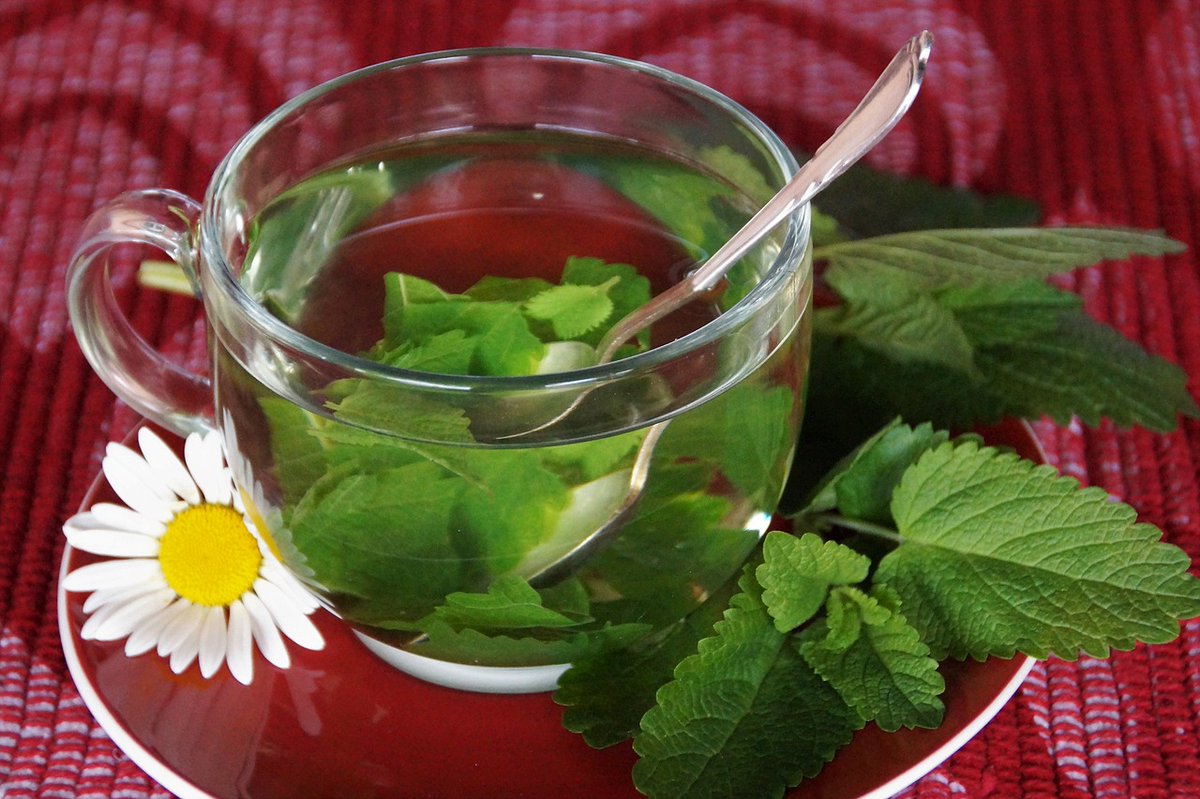 healthysoluti13's tweet photo. There are no magic pills when it comes to weight loss, but certain supplements like green tea extract or probiotics may help support your efforts. Just make sure to consult with a healthcare professional before adding any new supplements to your regimen. #supplementtips https://t.co/o3QVYzpAEs