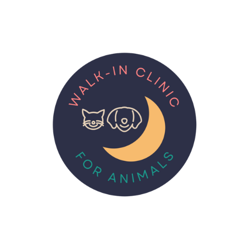 Vetcareers1's tweet photo. Job Opportunity

Urgent Care Veterinarian at Walk In Clinic for Animals - Canberra, ACT, Australia

#VeterinaryCareers #LoveYourVeterinaryCareer #WalkInClinicForAnimals #UrgentCareVet #Veterinarian #VetClinic

https://t.co/zoY8S1Q1jI https://t.co/UgfCrNtHK0