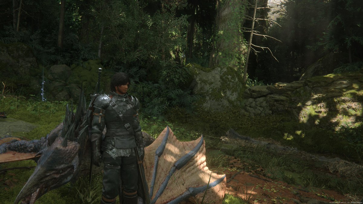 mikeinter91's tweet photo. #PS5Share, #FINALFANTASYXVI https://t.co/8c86fVJaOE