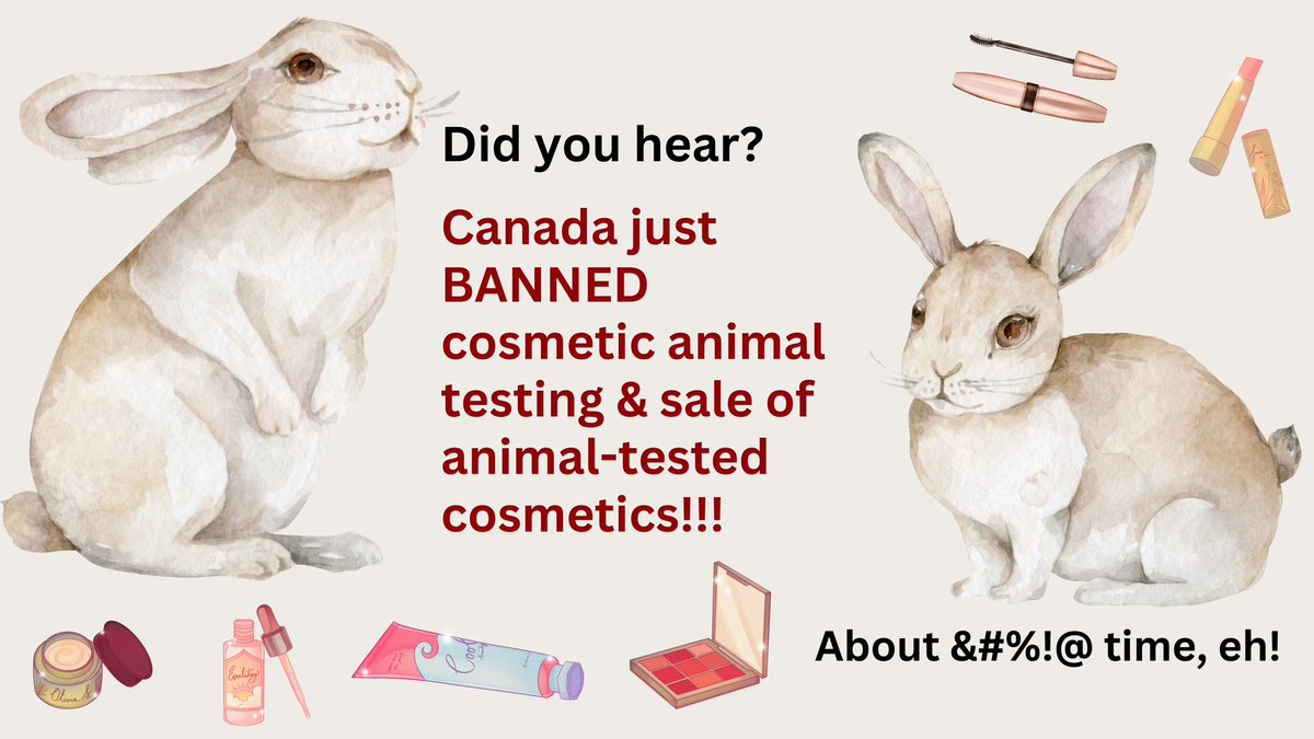 It’s done!!! Canada 🇨🇦 just banned cosmetic animal testing! So proud! So thrilled! Huge congrats to everyone who worked hard for years to make this happen! #canada #cdnpoli #Science #ethics #innovation #becrueltyfree #usesciencenotanimals #21stCenturyNotStoneAge