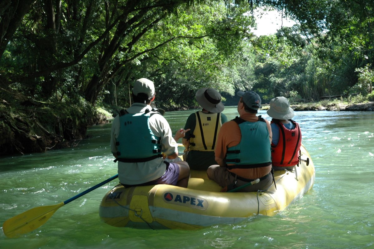 walkingwithward's tweet photo. @walkingtheworld Like to visit Costa Rica - one of the most biodiverse places on Earth?  Join us this Oct 24-Nov 3, 2023 for a magical adventure.  #CostaRica #WalkingTheWorld  #adventuretravel https://t.co/O9MAwJ0dyE