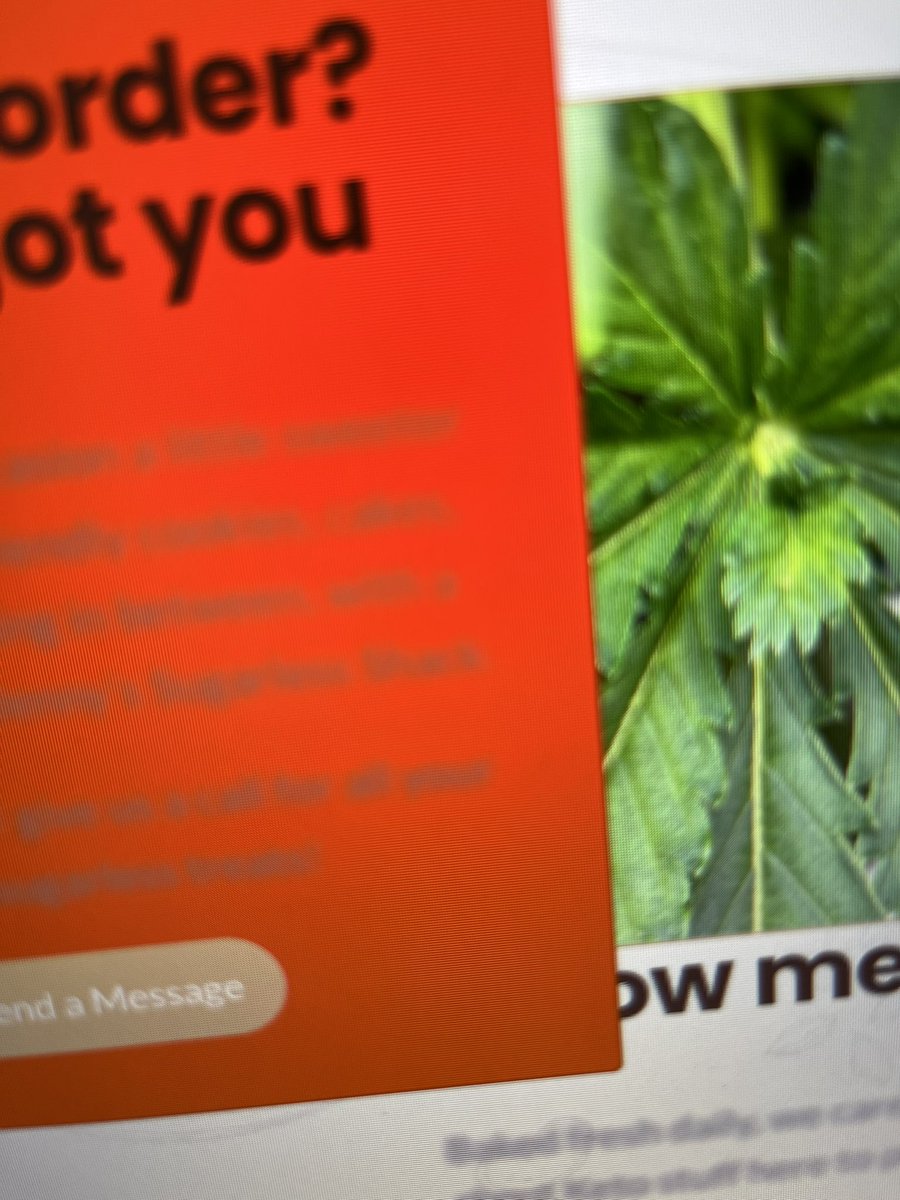 igglepuff's tweet image. OG
as
fuck.

Solid background dev gang 😂
Iykyk.

#css #iuseredbackgroundstoidentify #design #webdesign