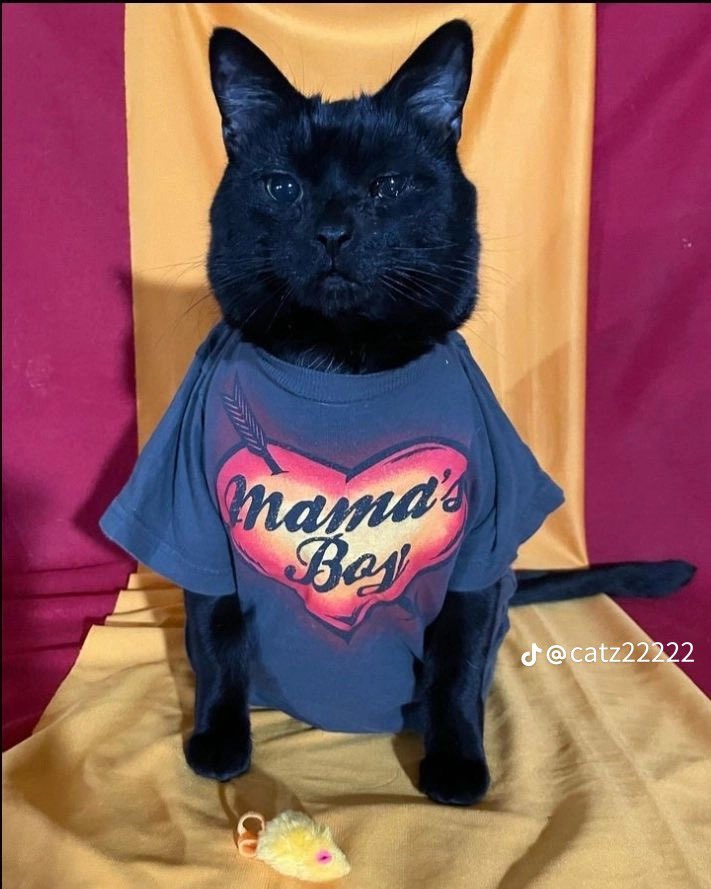 derpette (@xanathgum) on Twitter photo 