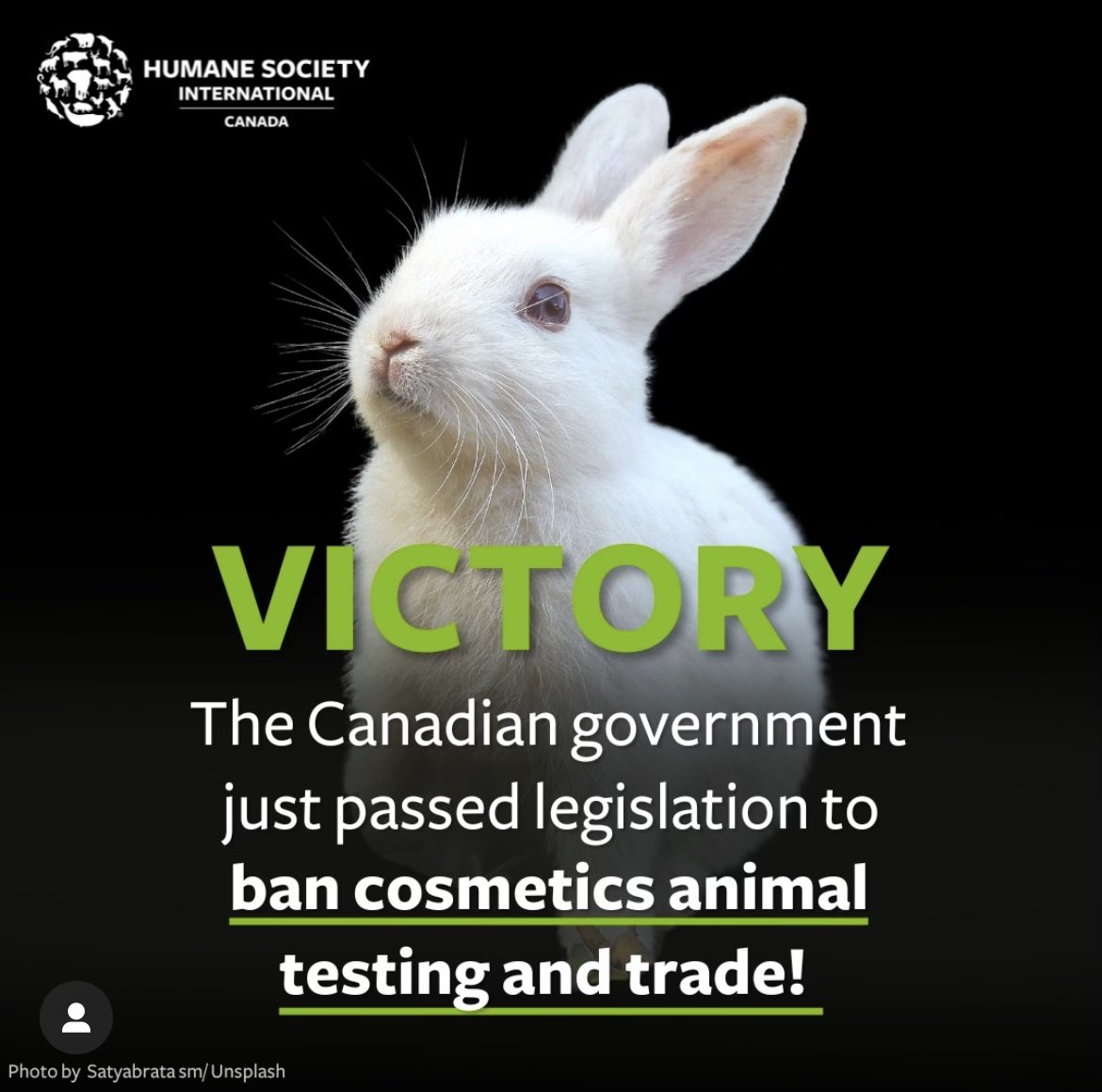 Such amazing news!!!!