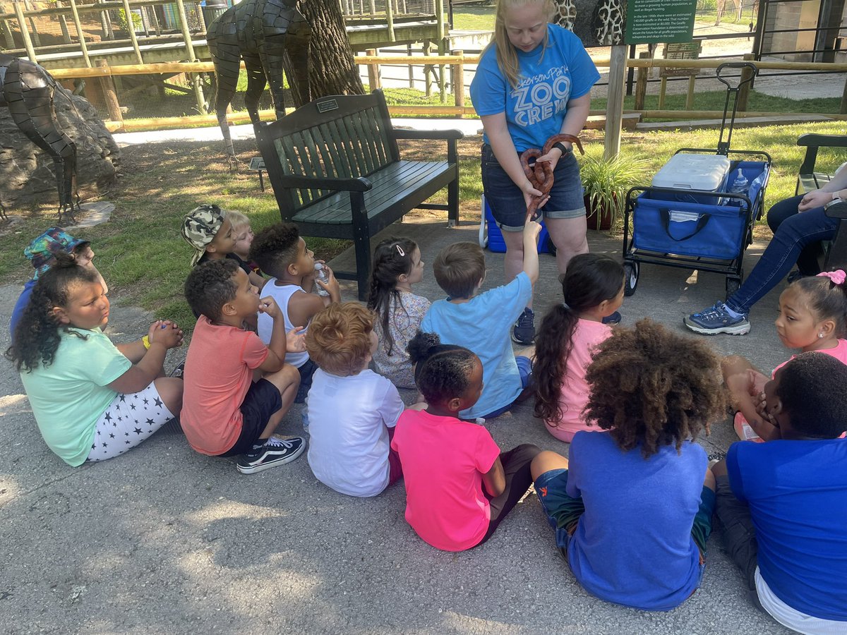 Ms_Branham's tweet image. Today we explored the zoo and saw all the animals we have been learning about from all over the world. Overall their favorite part was getting to pet a snake! Thank you @officialSPS for this fun experience! #1stGrade #SPSExplore @FremontSPS @janelle_ballard