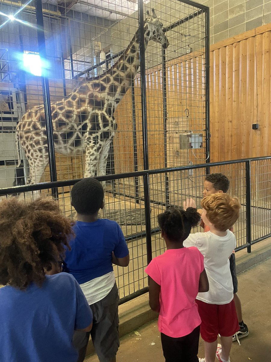 Ms_Branham's tweet image. Today we explored the zoo and saw all the animals we have been learning about from all over the world. Overall their favorite part was getting to pet a snake! Thank you @officialSPS for this fun experience! #1stGrade #SPSExplore @FremontSPS @janelle_ballard