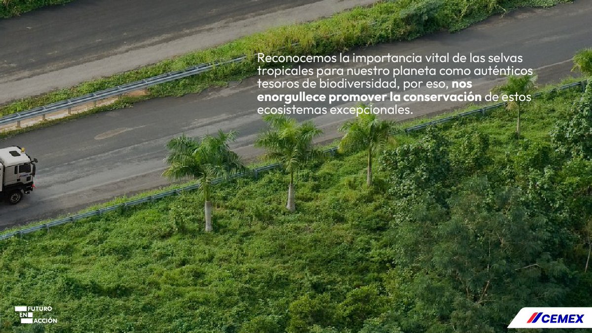 En #CemexPanamá trabajamos por un futuro sostenible, es por esto que ponemos en el centro de nuestros esfuerzos la preservación de la biodiversidad de nuestro país, buscando el menor impacto ambiental mientras optimizamos la calidad de vida de los panameños.