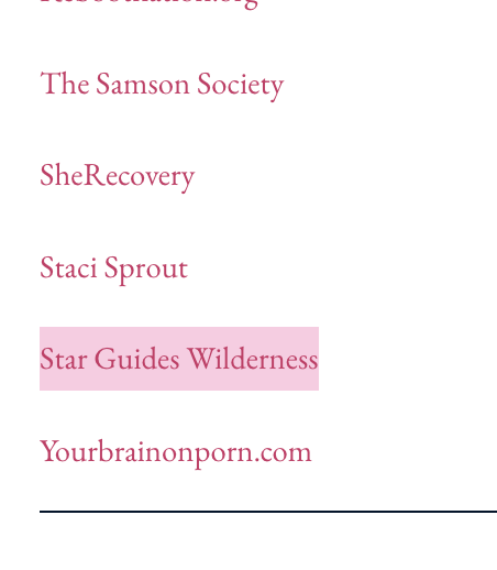 mikestabile's tweet photo. Oh look, the Admissions Director of STAR Guides — the "porn addiction" camp under investigation for abuse of children — is a partner of NCOSE, and one of their recommended resources. https://t.co/k8yyL7pfDu