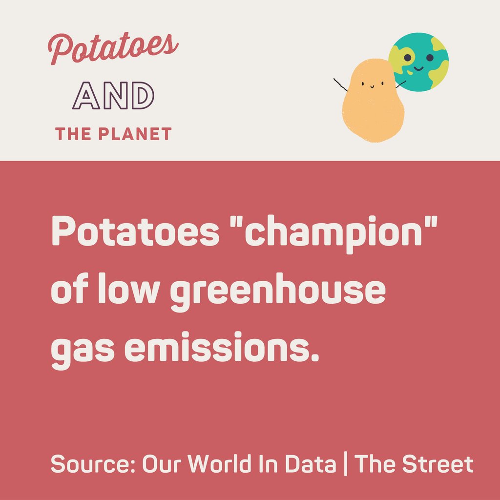 Researchers compared a total of 211 common foods consumed around the world in terms of which production results in the most and least greenhouse gases. They call the potato “the champion” with the lowest emissions amongst the foods analysed 🥔 Read more: potatonewstoday.com/2022/09/21/foo…