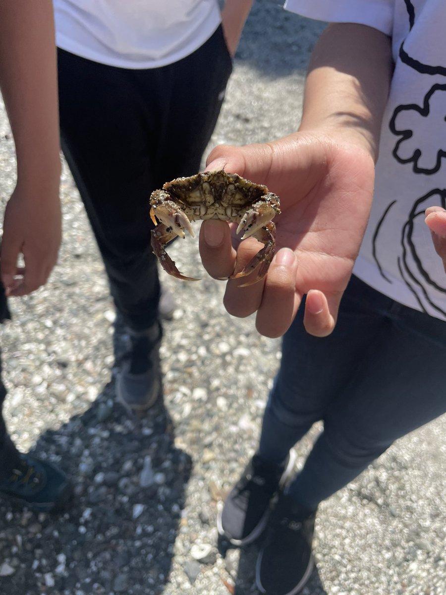 Mariah Bouchard tweet media