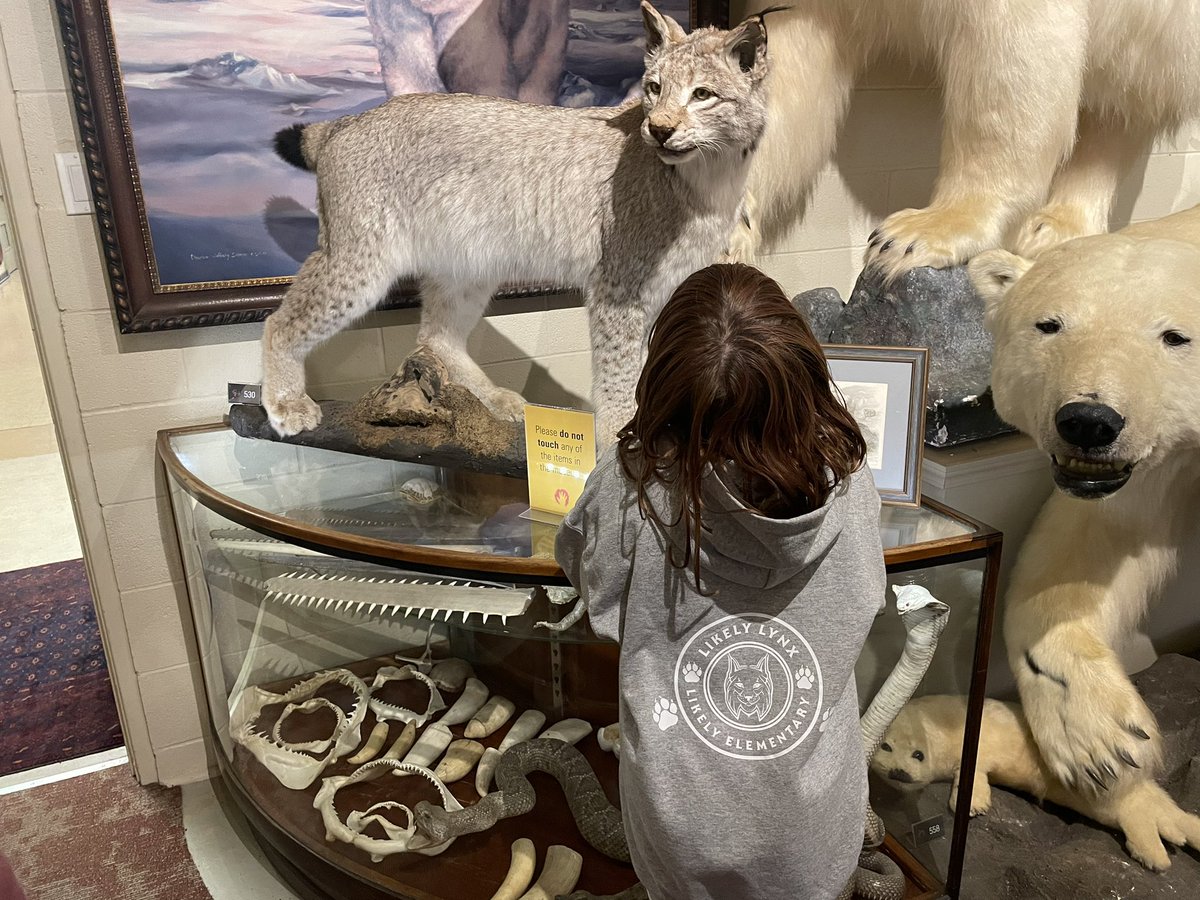 Mariah Bouchard tweet media