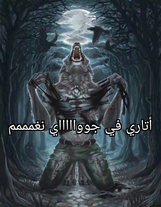 المضيعاتي (@modayi3ati) on Twitter photo 