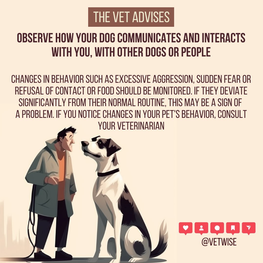 Observe how your dog communicates and interacts with you, with other dogs or people

Changes in behavior such as excessive aggression, sudden fear or refusal of contact or food should be monitored. 

#veterinary #advice #petlovers #Slovakia #behavior #education