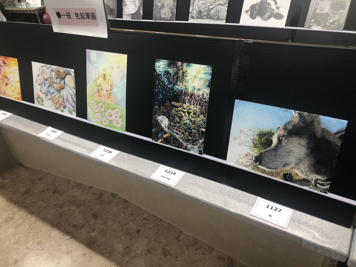 葛飾にある北星鉛筆で開催されている鉛筆画・色鉛筆画コンテストの一般公開を見てきました👀見応えすごい✨誰でも投票できて私も参加したのですがめちゃくちゃ悩みました🧐開催明日までみたいです！ https://t.co/pZb3tW3Ntw https://t.co/fUydBruK6C