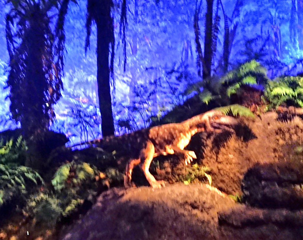 動く恐竜と、映像と音で、恐竜たちの生活を体験できるゾーンがめちゃくちゃ面白かった。洞窟に入っていくと、色んな恐竜が巣の中にいたり、水のんでたり、威嚇してきたりするの。面白かったー!! https://t.co/6Ddrp4yAoU