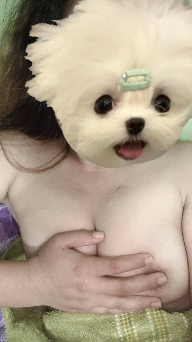 sun2002102 tweet picture