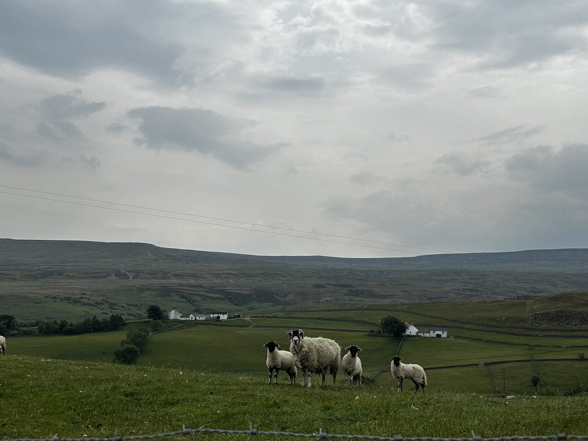 Summer <a href="/TheSpineRace/">Montane Spine Race</a> #hq