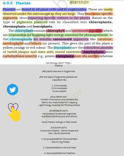 study68996's tweet photo. NEET PYQ about PLASTIDS. (Ab questions nehi chupega) NEET EXPOSED !!!!!!!!!! #biotech #biology #neetcounselling #NEETUG2023 #neetresult2023 #INDvsPAK #DevOps #SCIENCE_FACT #chemistry #pyq #QuestionTime #Genetics #reproduction #facts #FactFriday #FactCheck #FactsMatter #Neetexpose https://t.co/1KnFq0kYY3