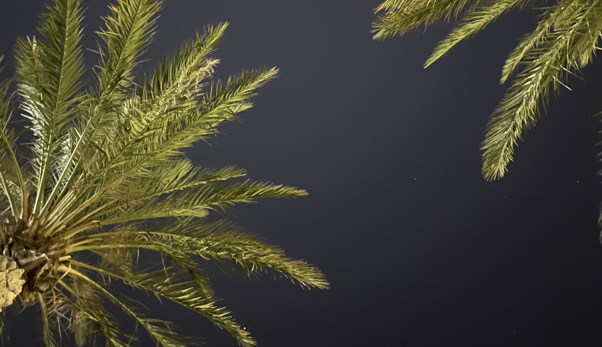 ألا يا عبادَ الله من كان مؤمنًا
من الناسِ يرجو اللهَ = إلا دعا ليا

 #يوم_Iلجمعه