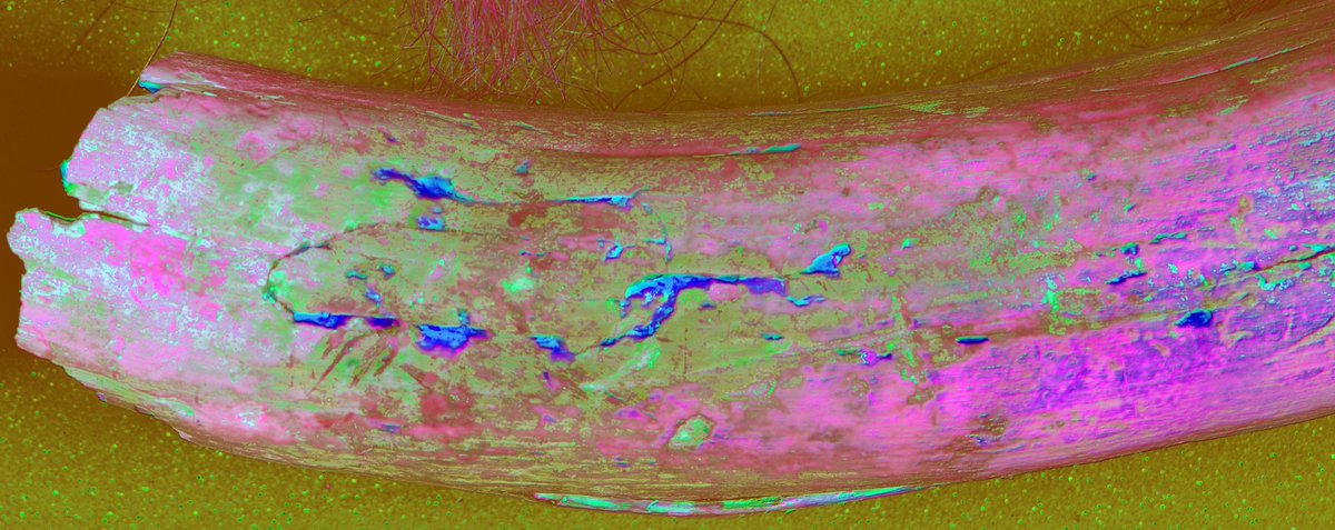 RB Toth Associates tweet media