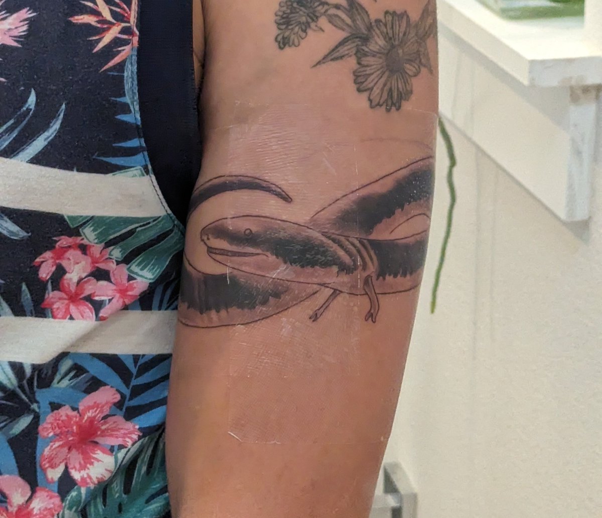 🏳️🌈Timo Wayman🇵🇷 tweet media