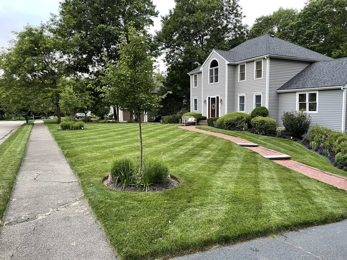 BHLevesque's tweet photo. That was a lot of work, especially on leg day, but it’s done now. Friday will be nicer as a result. #lawncare #lawnstripes #landscaping #lawnporn #yardistry #gardeningtwitter https://t.co/YgsdhYqs8v