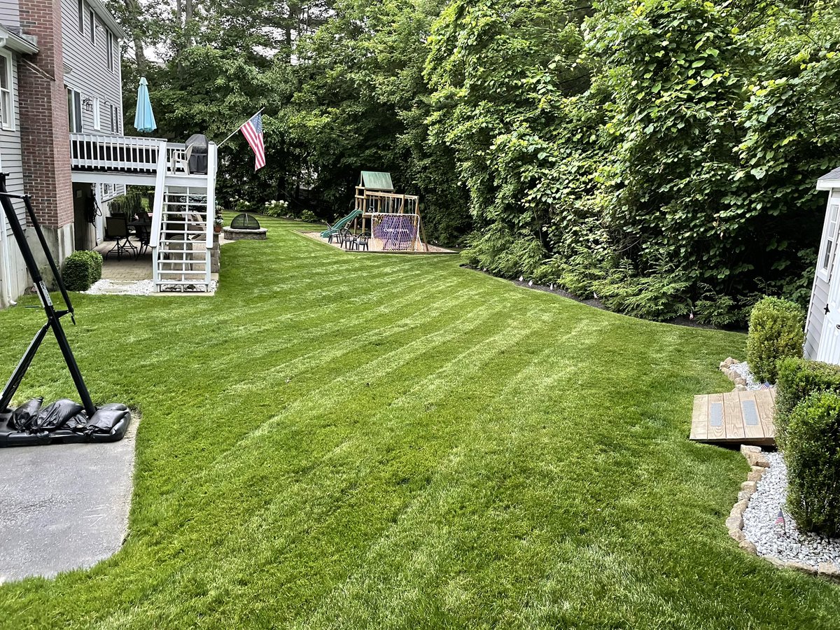 BHLevesque's tweet photo. That was a lot of work, especially on leg day, but it’s done now. Friday will be nicer as a result. #lawncare #lawnstripes #landscaping #lawnporn #yardistry #gardeningtwitter https://t.co/YgsdhYqs8v