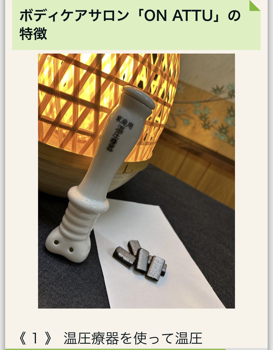 温圧療器 家庭用電気温灸器 大阪理学医療器/辰巳製作所 指圧が出来る