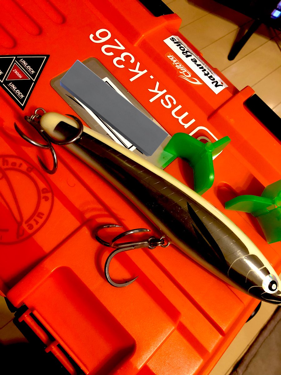 連れて行く
自分のルアー持って行かずに
この子連れて行く